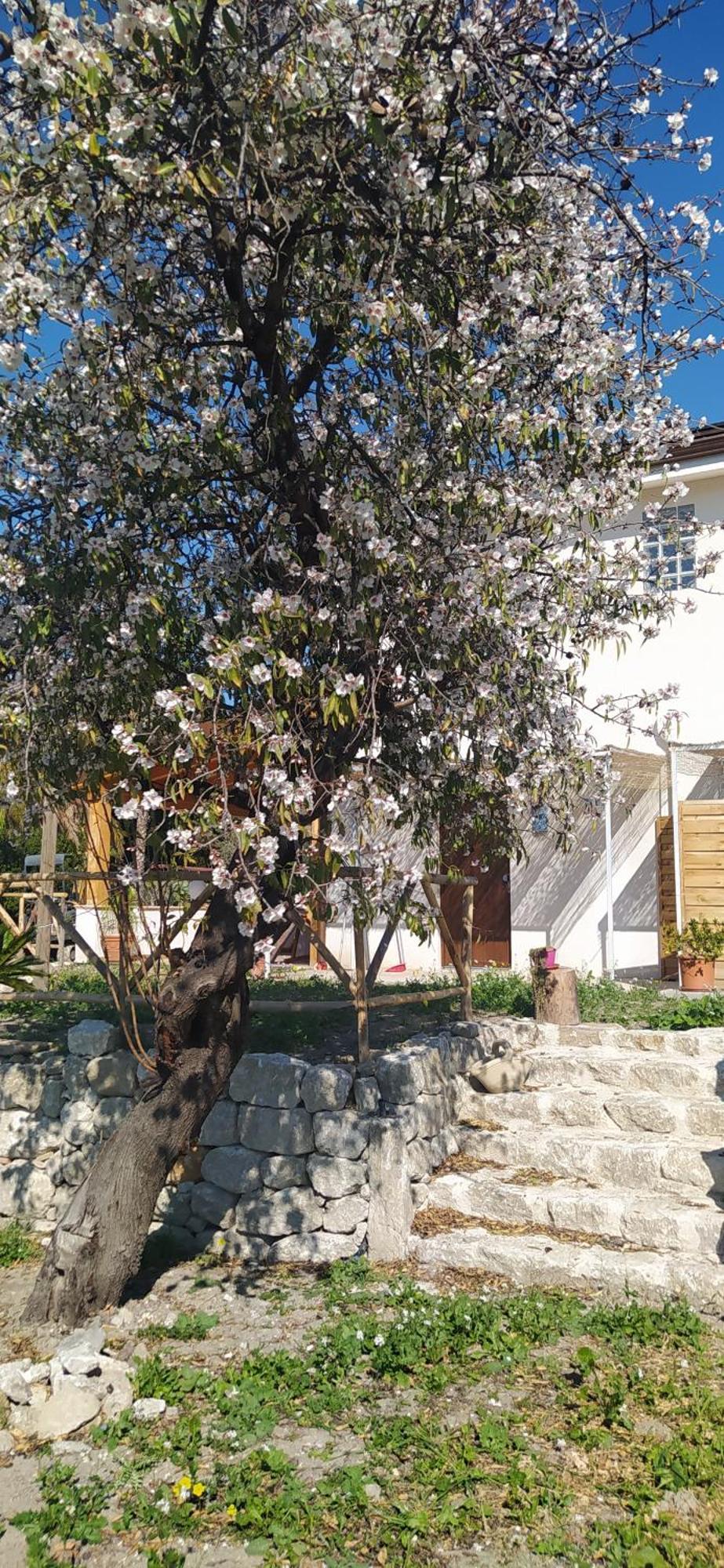 Agriturismo Adenzia Porto Empedocle Exterior foto